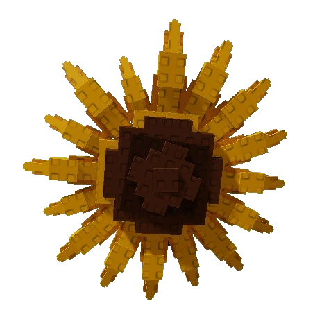 Sunflower Seed fruit for Grow a Garden trading